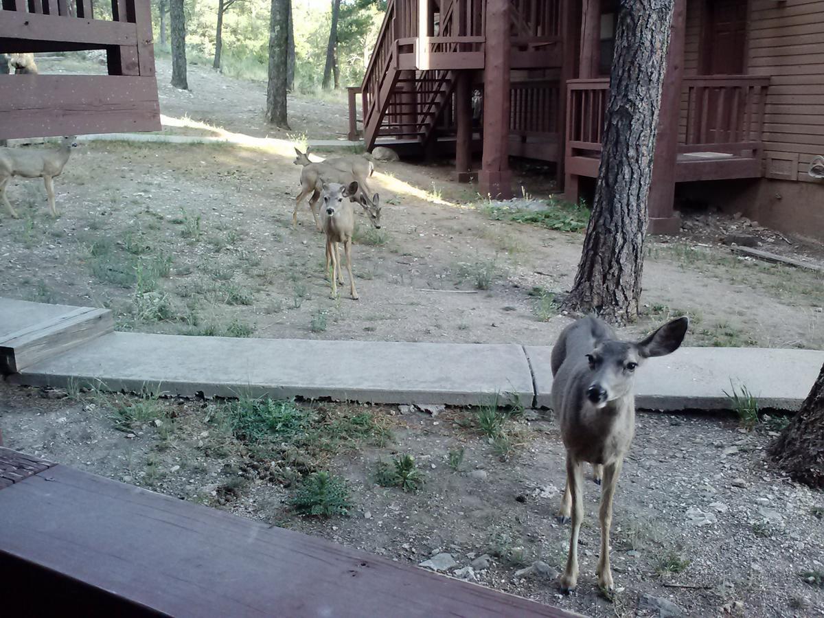 Aparthotel Tiara Del Sol Ruidoso Exterior foto